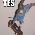 YES